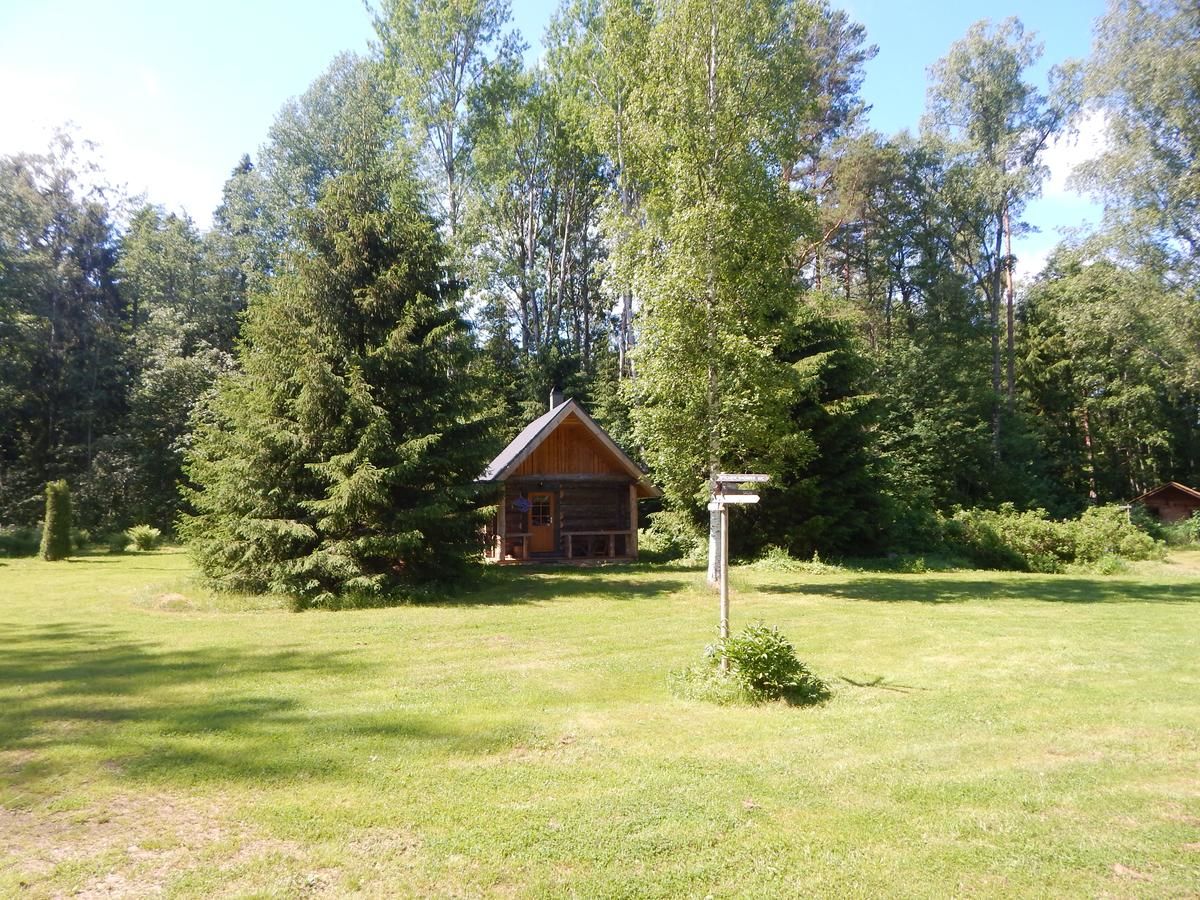 Лоджи Haaviku Nature Cottage Tepelvälja-14